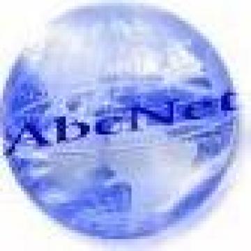Servicii internet de la Abc Technologies Impex S.r.l
