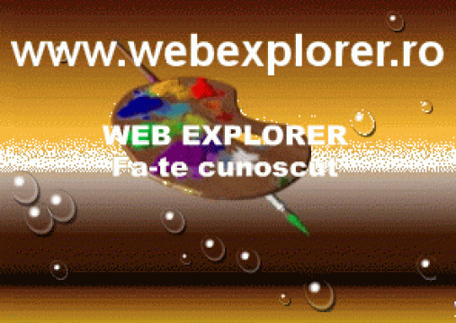 Magazin online de la Web Explorer