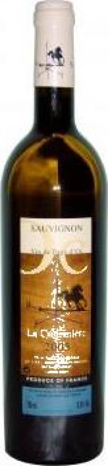 Vin Sauvignon Bio Cauviniere