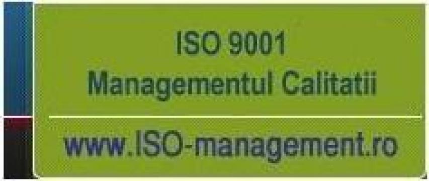 Sisteme de Management cf. standarde ISO & OHSAS de la Thesanco Srl.