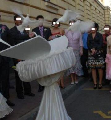 Porumbei albi pentru nunti Braila