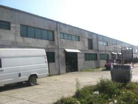 Cladire industriala - hala de productie de la Tarquinia Impex