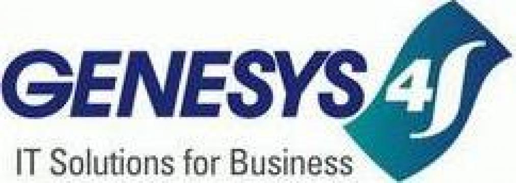 Servicii de Outsourcing Business 4S de la Genesys Systems