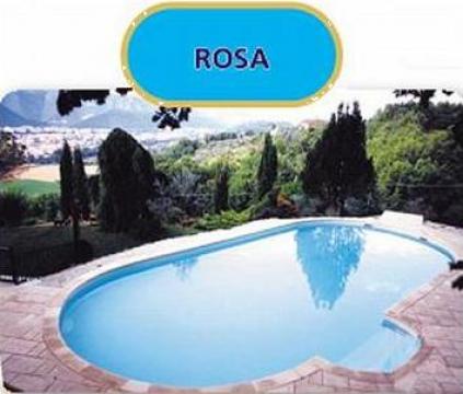 Piscine Rosa de la Teo Pool Construct