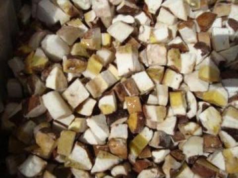 Ciuperci congelate intregi, cuburi, lamelata de la Lazar Sere Srl