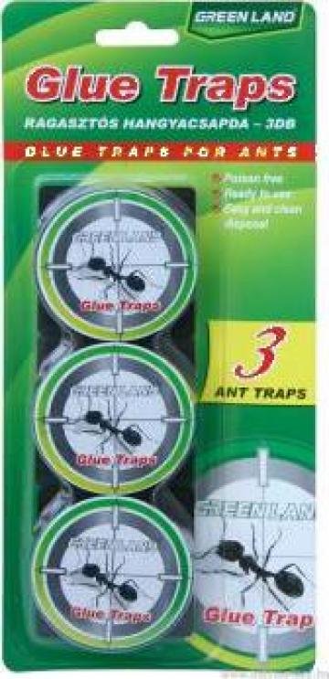 Capcana din plastic Glue traps for Ants de la Torent Distribution Srl