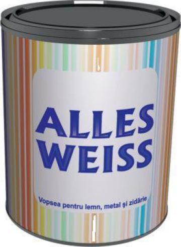 Email alchidic lucios Alles Weiss de la National Paints Factories Company Sa