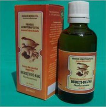 Extract ciuperci medicinale Pleurotus ostreatus