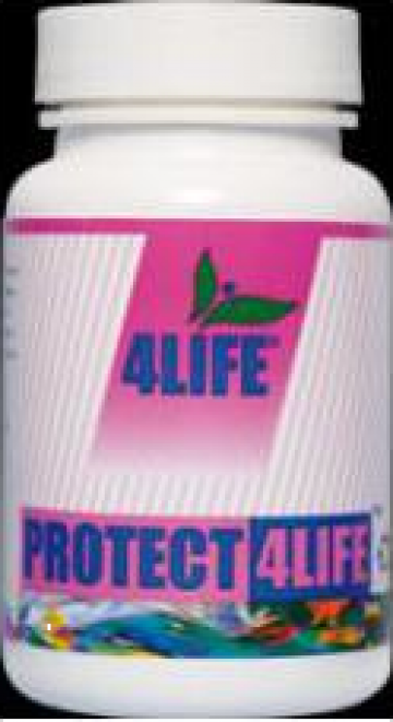 Supliment alimentar Protect 4 Life - ginkgo biloba - 90tb de la Farmanat.com