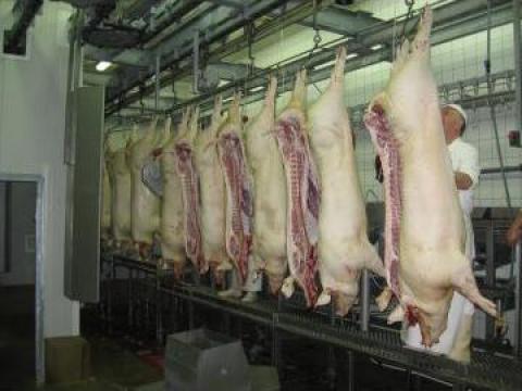 Carne de porc de la V.P.S. - Sik Logistic