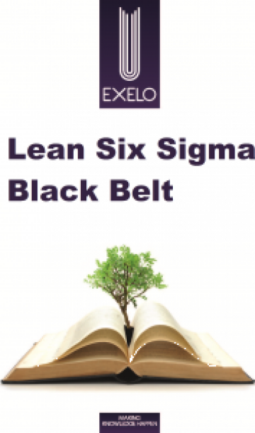 Cursuri Lean Six Sigma Black Belt de la Exelo Training & Development