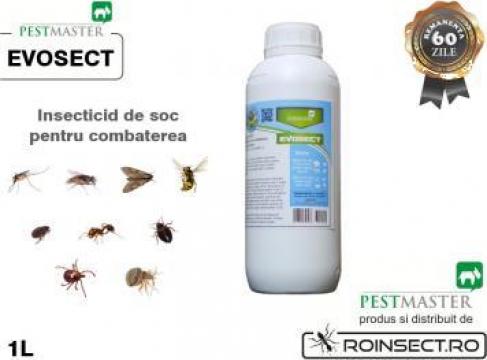 Insecticid anti-viespi / tantari Pestmaster Evosect 1 litru de la Agan Trust Srl