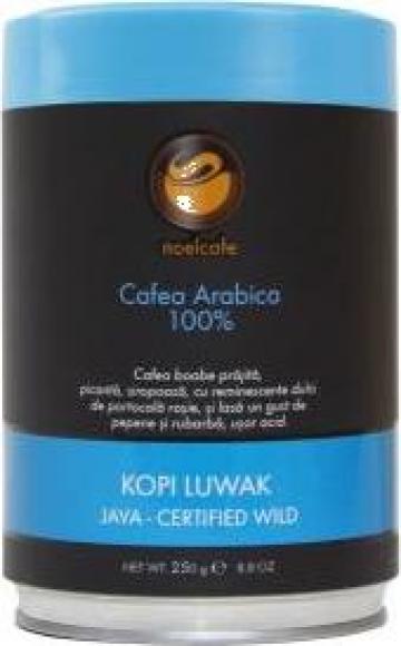 Cafea boabe Kopi Luwak de la Sc Noel Espresso Srl