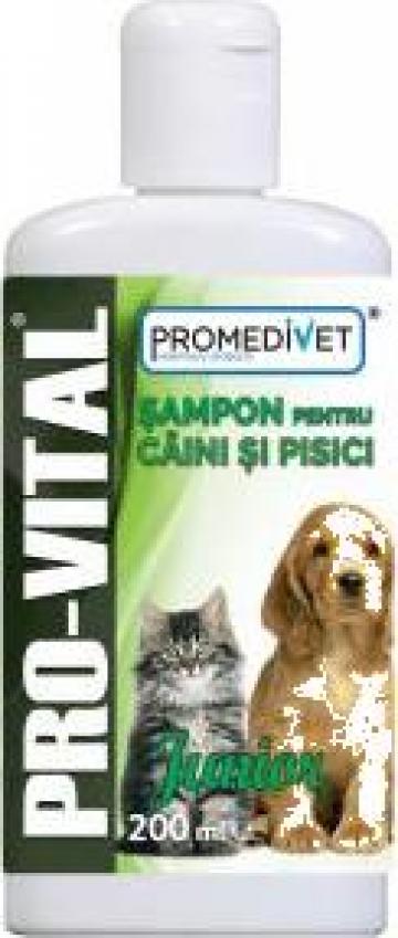 Sampon Pro-Vital junior pentru caini si pisici de la Promedivet