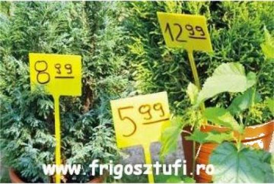 Indicator pret inscriptibil pentru flori cu infigere de la Sztufi Serv Srl