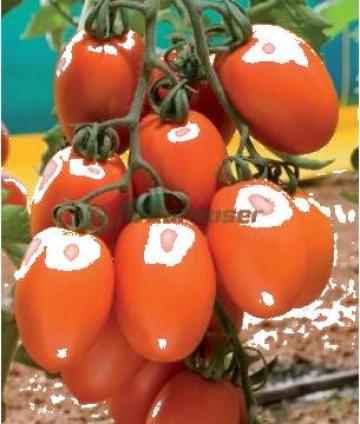Seminte de tomate Kilates F1 - 500 seminte