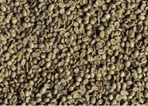 Cafea verde Honduras Las Adelfas organic 19/20, Arabica 100% de la Kestar Coffee Srl