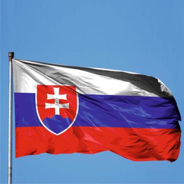 Steag Slovacia de la Color Tuning Srl