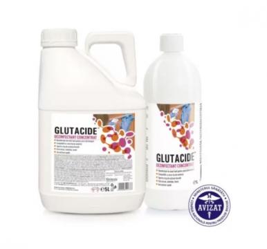 Dezinfectant concentrat suprafete 1 L Glutacide