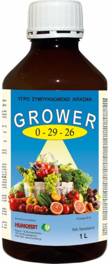 Ingrasamant lichid condensat Grower 0-29-26