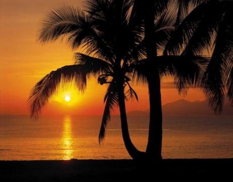Fototapet cu peisaj exotic Rasarit de soare la mare de la Arbex Art Decor