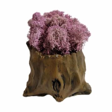 Aranjament licheni ghiveci decorativ multicolor M1 de la Decor Creativ