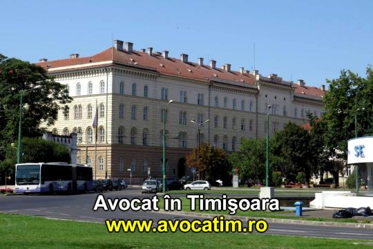 Consultanta avocat in Timisoara penal, comercial, civil