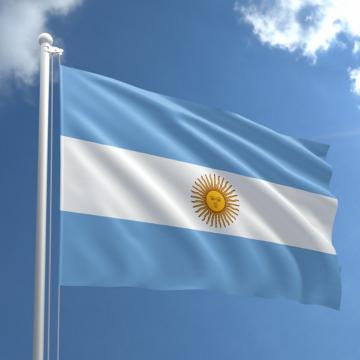 Steag Argentina de la Color Tuning Srl