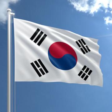 Steag Coreea de Sud de la Color Tuning Srl