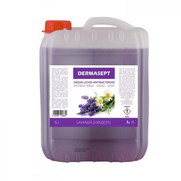 Sapun lichid antibacterian canistra Dermasept 5 litri de la Ekomax International Srl