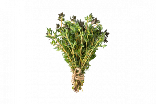 Cimbru - 50 gr - borcan de la Natural Seeds Product SRL