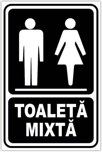Indicator negru toaleta mixta de la Prevenirea Pentru Siguranta Ta G.i. Srl