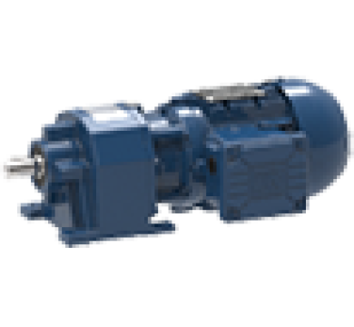 Motoreductor cilindric C, cu angrenaj S de la Watt Drive Motor