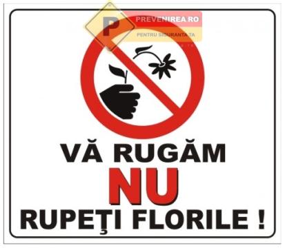 Indicator nu rupeti florile de la Prevenirea Pentru Siguranta Ta G.I. Srl