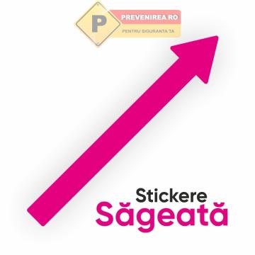 Sageata roz pentru siguranta de la Prevenirea Pentru Siguranta Ta G.I. Srl