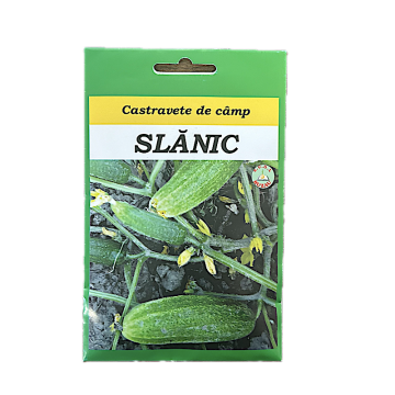 Seminte castravete de camp Slanic 10 gr, SCDL Buzau