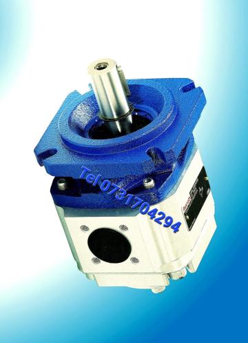 Pompe hidraulice Rexroth PGP2-2X/006RJ20VU2 R900984019