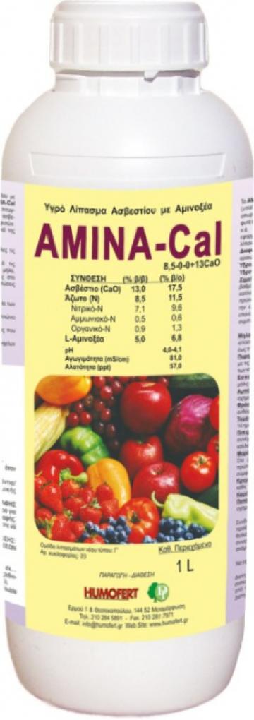 Ingrasamant lichid de calciu cu aminoacizi Amina Cal de la Lencoplant Business Group SRL