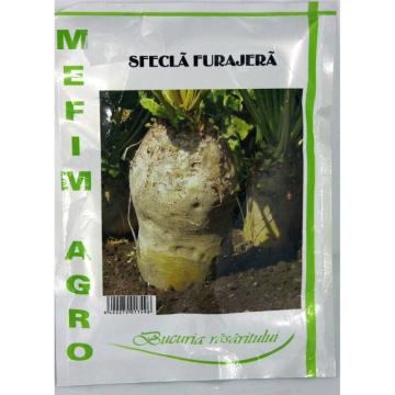 Seminte sfecla furajera Ursus Poly 30 gr, Mefim Agro de la Loredo Srl