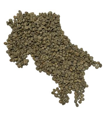 Cafea boabe verde de origine Fresso Costa Rica Tarrazu SHB