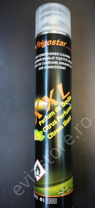 Spray dezinfectare aer conditionat Frigostar XXL