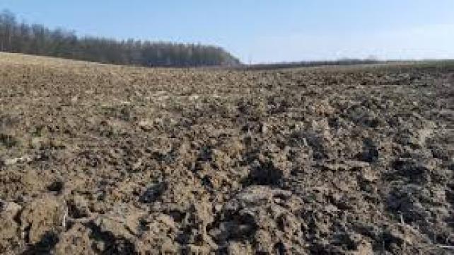 Teren agricol in comuna Iancu Jianu judetul Olt, 4 hectare