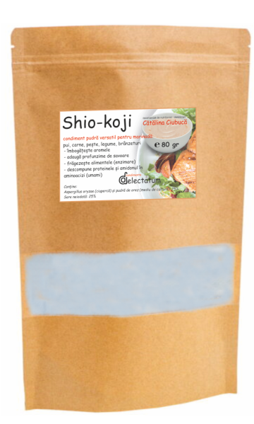 Condiment Shio-Koji pudra