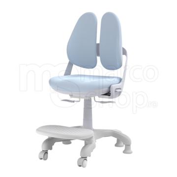 scaun ergonomic