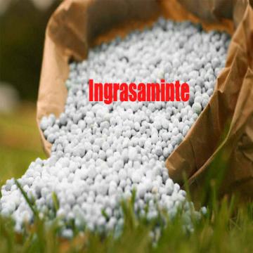 Ingrasamant complex NPK 0-12-23 + 4%Mg sac 50 kg de la Loredo Srl