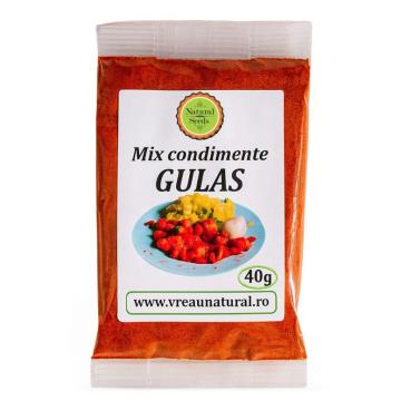 Condimente Gulas 40gr, Natural Seeds Product