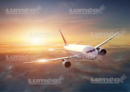 Imagine comestibila tort din Zahar Avion - Lumea