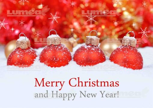 Imagine comestibila tort din zahar Merry Christmas