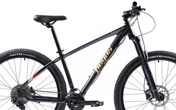 Bicicleta MTB Pegas Drumet Pro M 29'', gri carbon de la Transilvania Euro Tour Srl