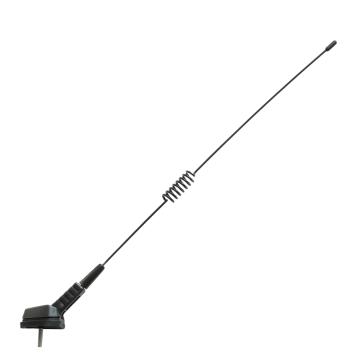 Antena pavilion cu arc de la Auto Care Store Srl
